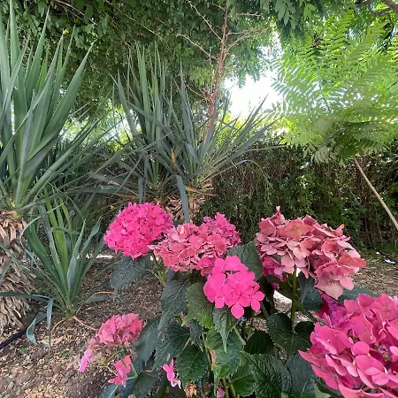 Luxury Pool By Lozenetsvillas Луксозна вила