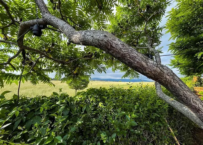 Luxury Pool By Lozenetsvillas *