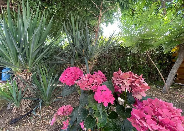 Luxury Pool By Lozenetsvillas Villa